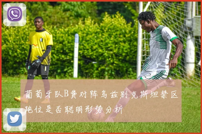 葡萄牙队B费对阵乌兹别克斯坦禁区跑位是否聪明形势分析