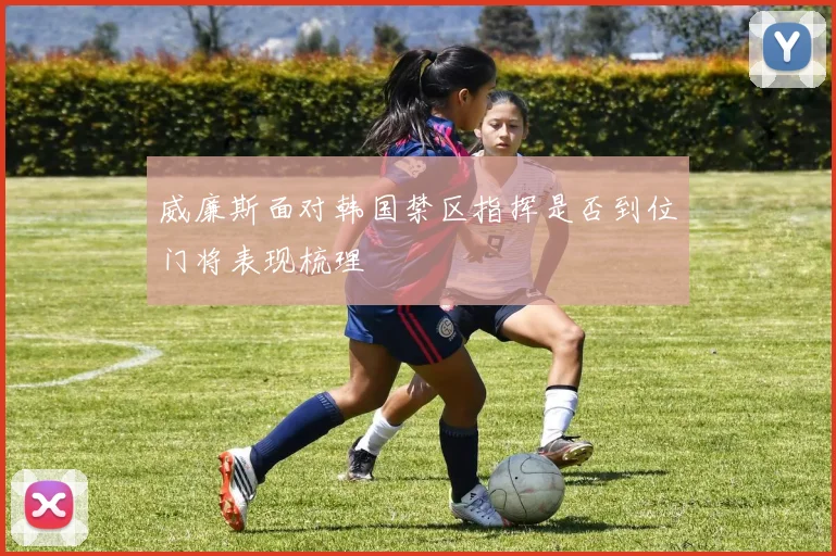 威廉斯面对韩国禁区指挥是否到位门将表现梳理