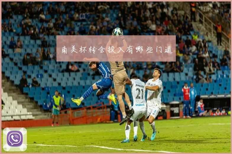 南美杯转会投入有哪些门道