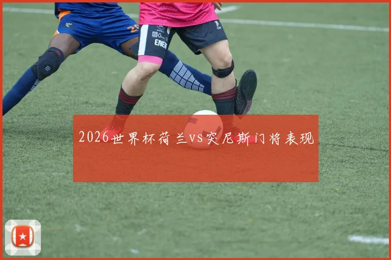 2026世界杯荷兰vs突尼斯门将表现