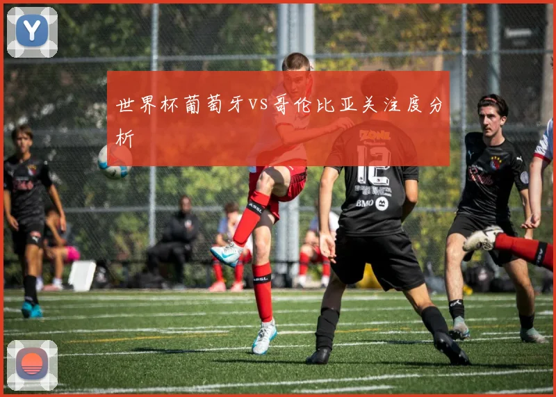 世界杯葡萄牙vs哥伦比亚关注度分析