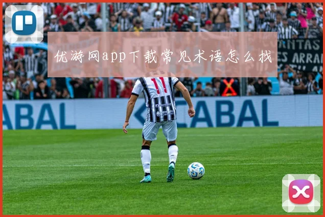 优游网app下载常见术语怎么找