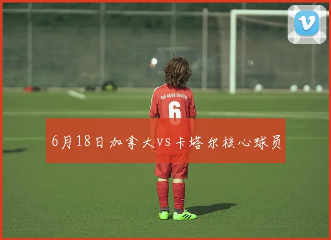 6月18日加拿大vs卡塔尔核心球员