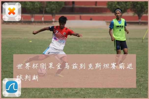 世界杯刚果金乌兹别克斯坦赛前进球判断